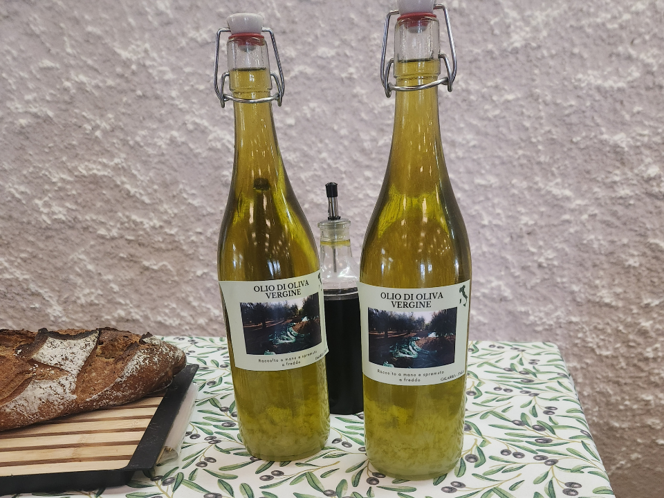 bouteille huile olive Enotria terra