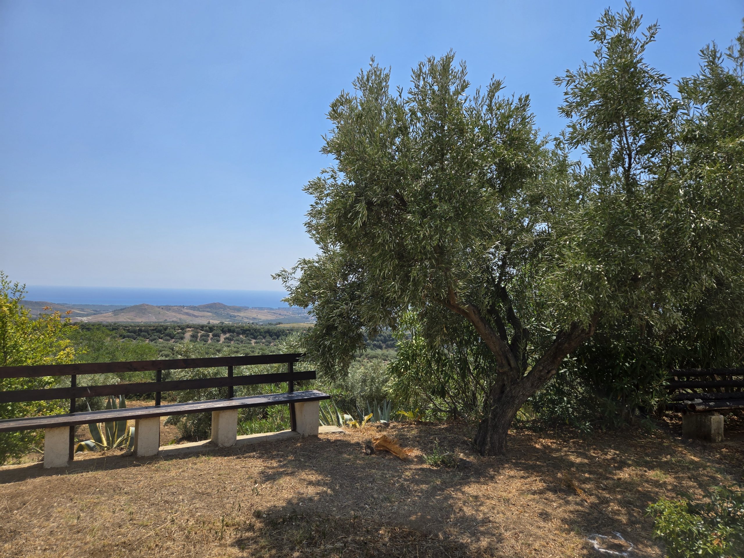 huile olive familiale